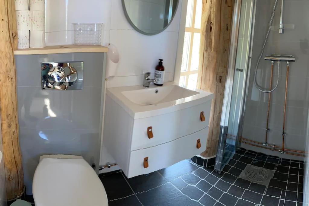 Aure Minihus Med Drommeutsikt Til Sunnmorsalpeneアパートメント エクステリア 写真